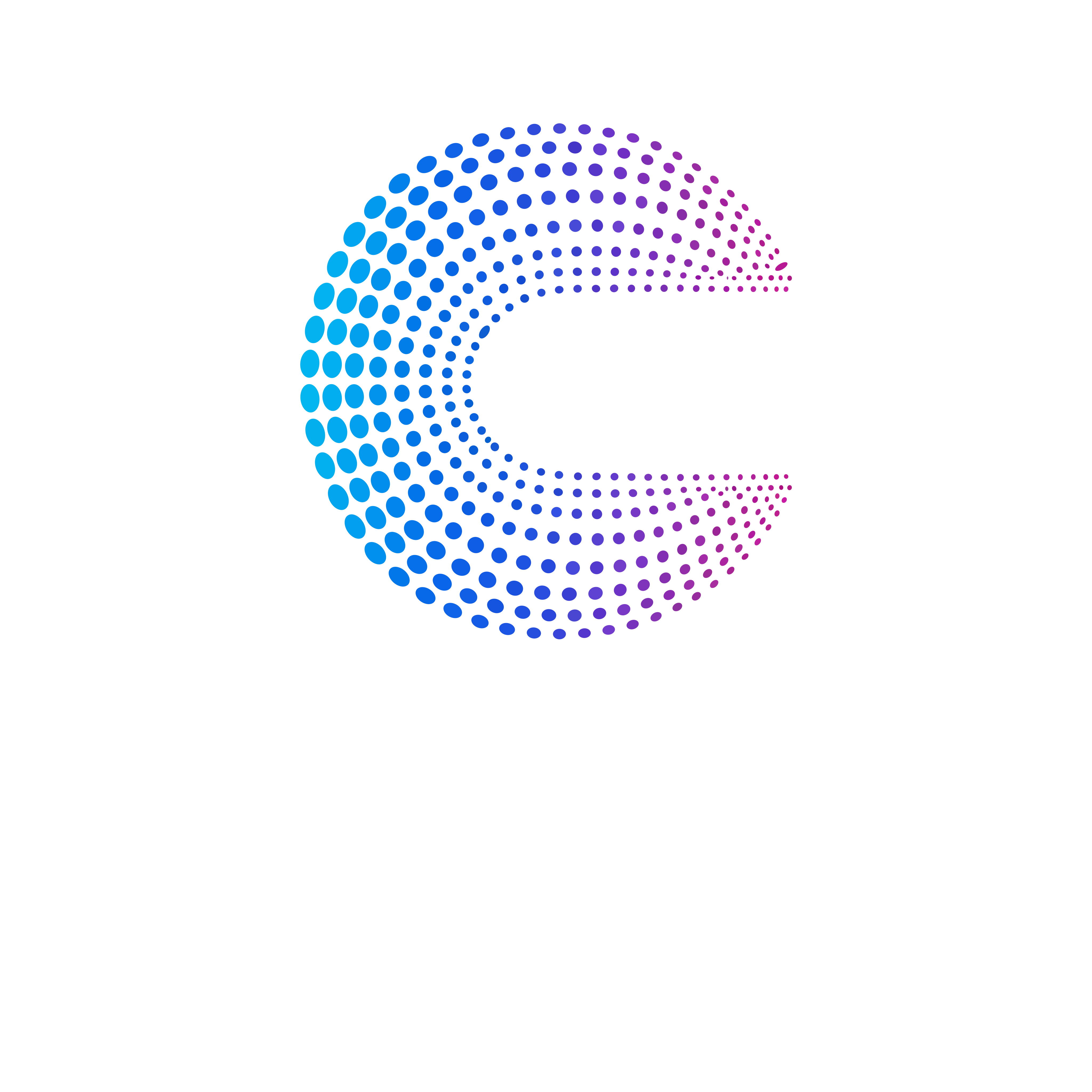 Cerious Systems